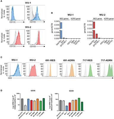 Transition to a mesenchymal state in neuroblastoma may be characterized by a high expression of GD2 and by the acquisition of immune escape from NK cells